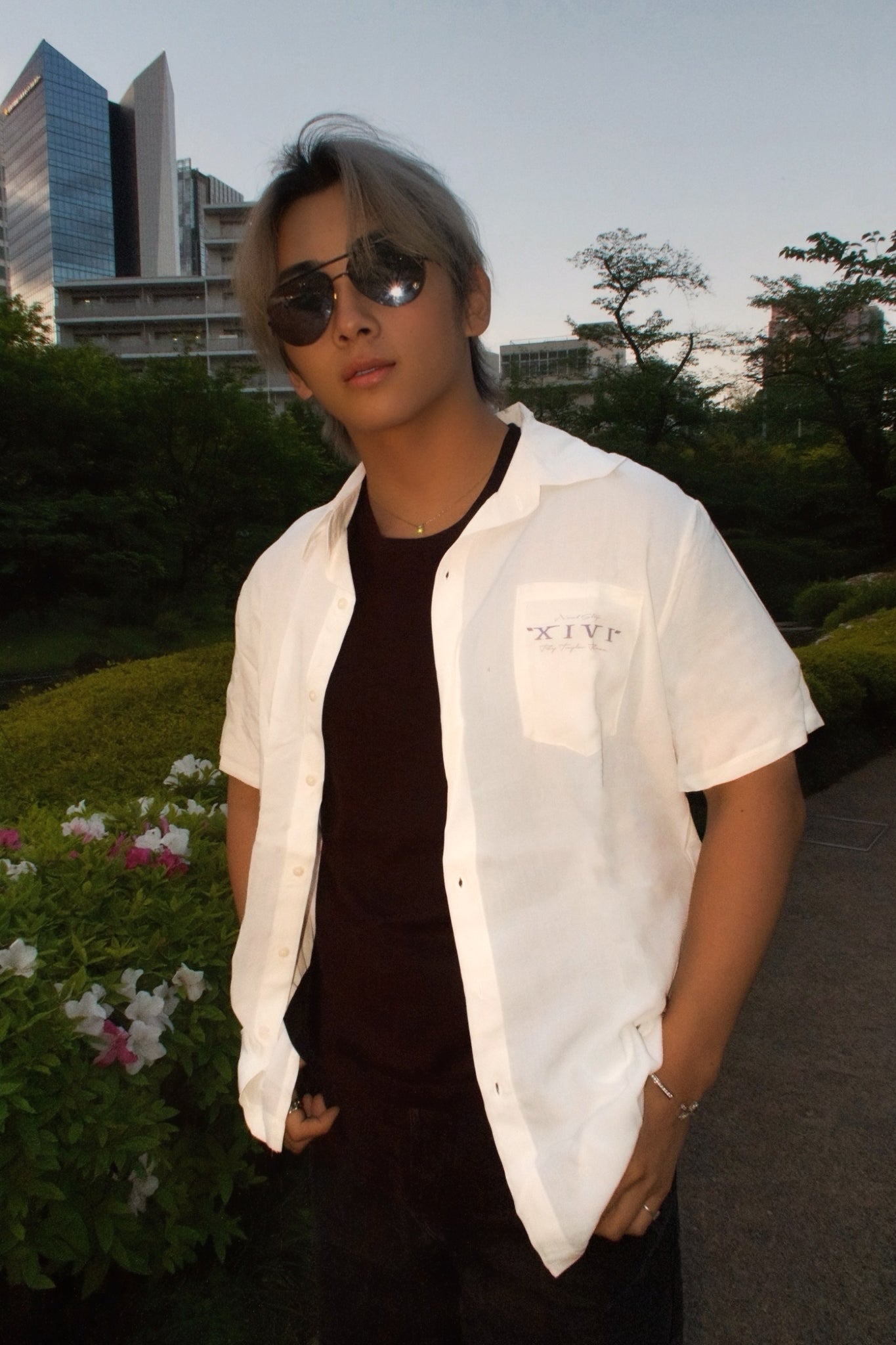 Mount Fuji SS Button Up